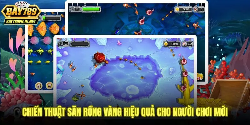 Bắn Cá Rồng Bay789 - Cơ Chế Cùng Chiến Thuật Săn Rồng Vàng 3 Chiến thuật bắn cá rồng Bay789 từ quan sát nhịp bàn đến dồn hỏa lực